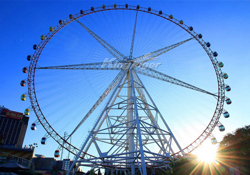 Kingtiger ferris wheel ride